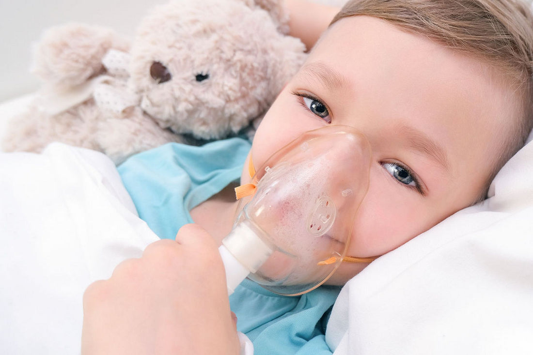 Why Every Home Needs a Nebulizer