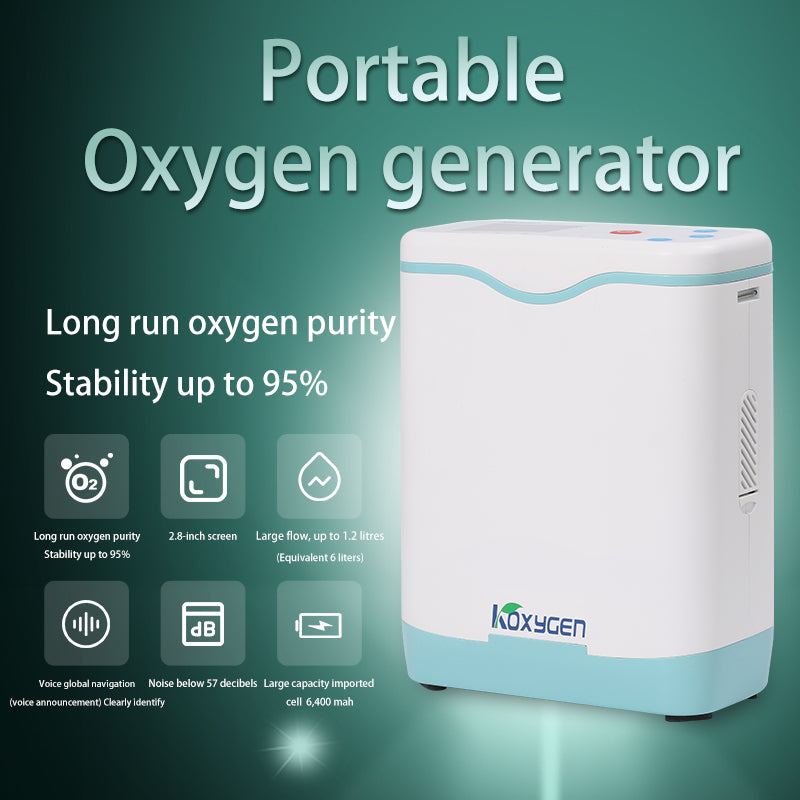 Pulse Input Portable Rechargeable Oxygen Concentrator 93%±3 Oxygen Purity Adjustable 1-6L Machine